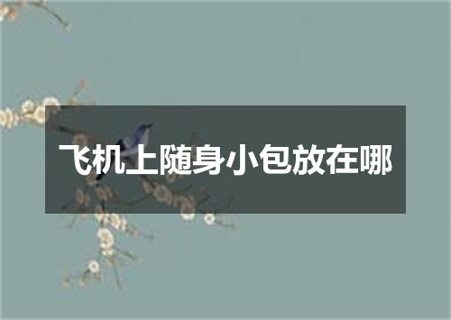 飞机上随身小包放在哪