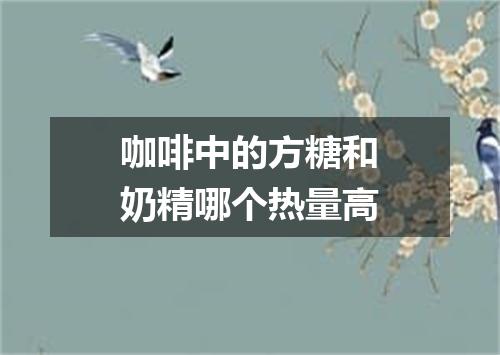 咖啡中的方糖和奶精哪个热量高