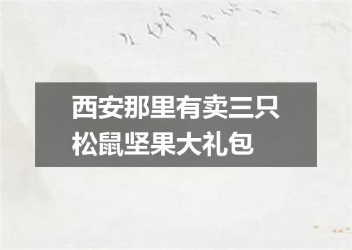 西安那里有卖三只松鼠坚果大礼包