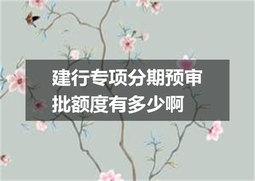 建行专项分期预审批额度有多少啊