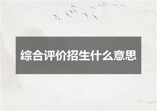综合评价招生什么意思
