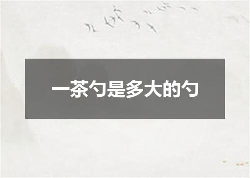 一茶勺是多大的勺