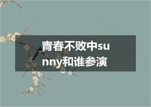 青春不败中sunny和谁参演