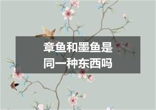 章鱼和墨鱼是同一种东西吗