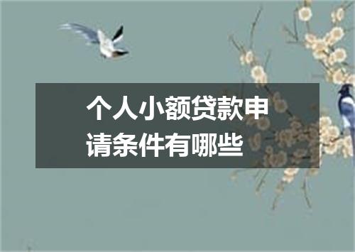 个人小额贷款申请条件有哪些