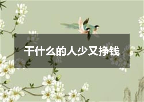 干什么的人少又挣钱