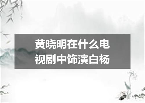 黄晓明在什么电视剧中饰演白杨
