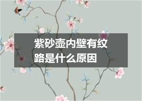 紫砂壶内壁有纹路是什么原因