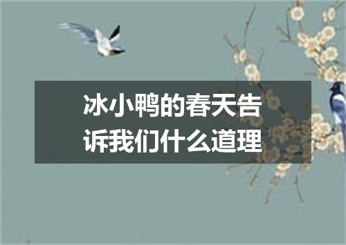 冰小鸭的春天告诉我们什么道理