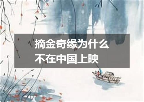 摘金奇缘为什么不在中国上映