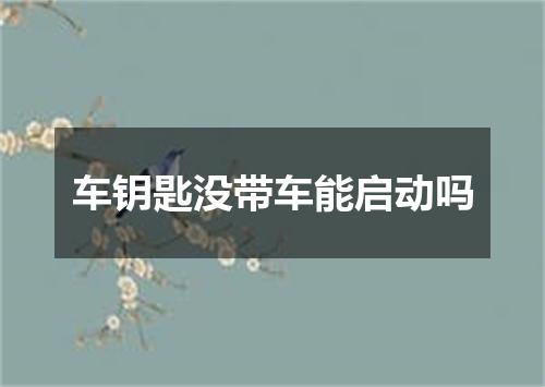 车钥匙没带车能启动吗