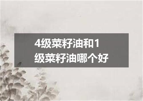 4级菜籽油和1级菜籽油哪个好
