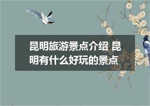 昆明旅游景点介绍 昆明有什么好玩的景点