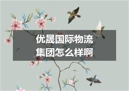 优晟国际物流集团怎么样啊