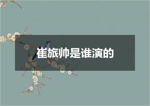 崔旅帅是谁演的