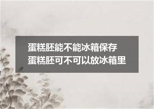 蛋糕胚能不能冰箱保存 蛋糕胚可不可以放冰箱里