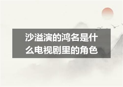 沙溢演的鸿名是什么电视剧里的角色