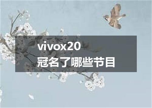 vivox20冠名了哪些节目