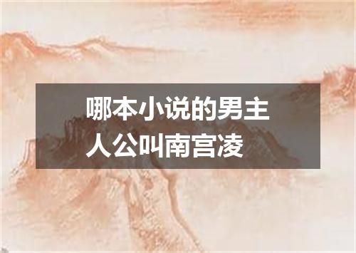 哪本小说的男主人公叫南宫凌