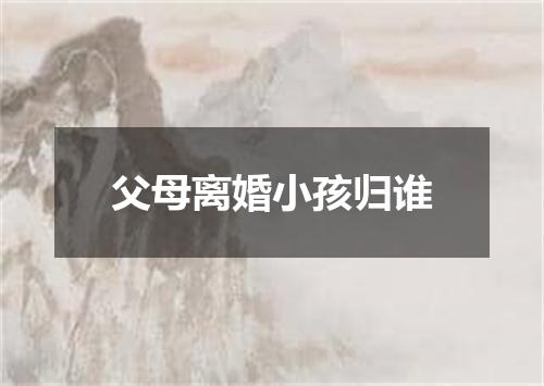 父母离婚小孩归谁