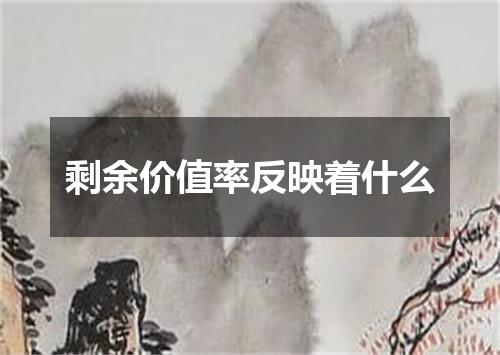 剩余价值率反映着什么