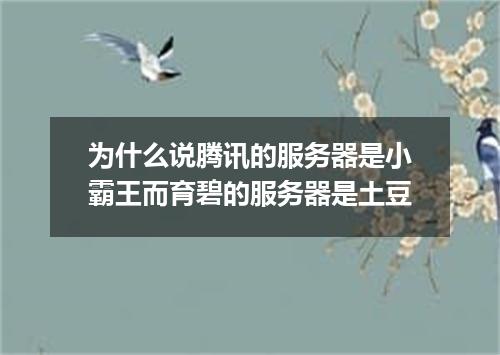 为什么说腾讯的服务器是小霸王而育碧的服务器是土豆