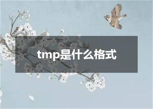 tmp是什么格式