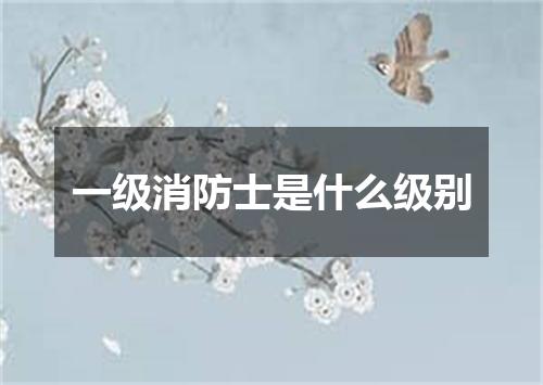 一级消防士是什么级别