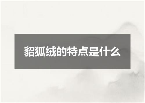 貂狐绒的特点是什么