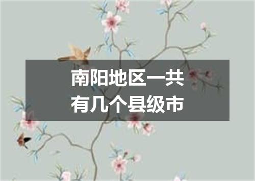 南阳地区一共有几个县级市