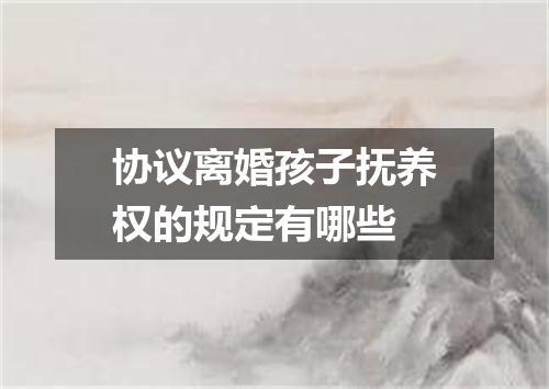 协议离婚孩子抚养权的规定有哪些