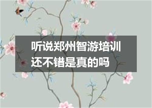 听说郑州智游培训还不错是真的吗