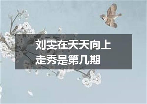 刘雯在天天向上走秀是第几期