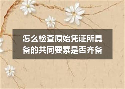 怎么检查原始凭证所具备的共同要素是否齐备