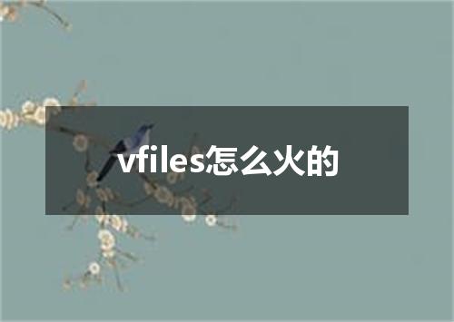 vfiles怎么火的