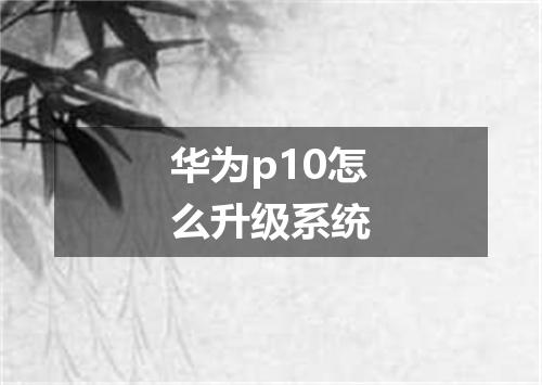 华为p10怎么升级系统