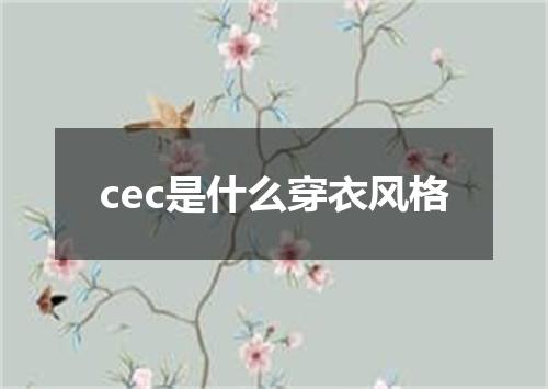 cec是什么穿衣风格