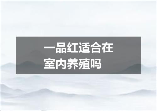 一品红适合在室内养殖吗