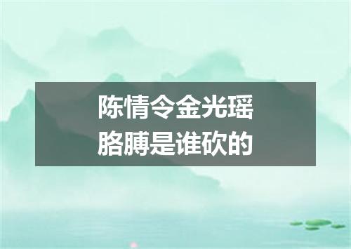 陈情令金光瑶胳膊是谁砍的