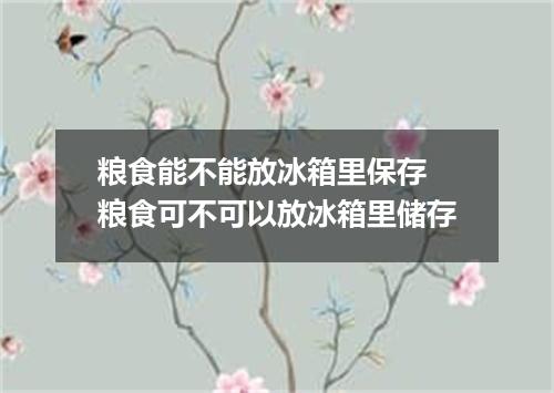 粮食能不能放冰箱里保存 粮食可不可以放冰箱里储存