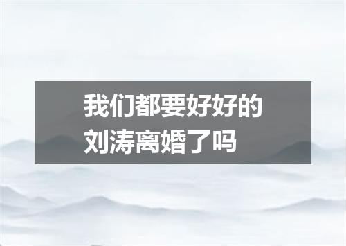 我们都要好好的刘涛离婚了吗