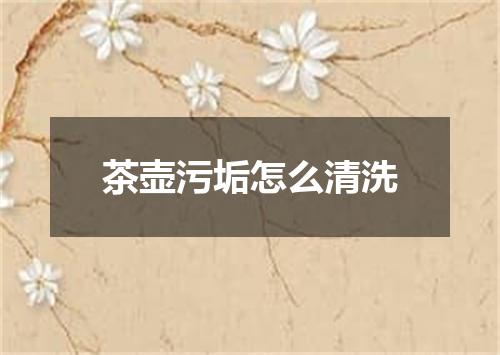 茶壶污垢怎么清洗