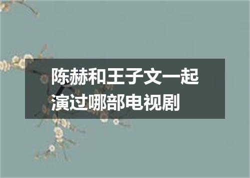 陈赫和王子文一起演过哪部电视剧