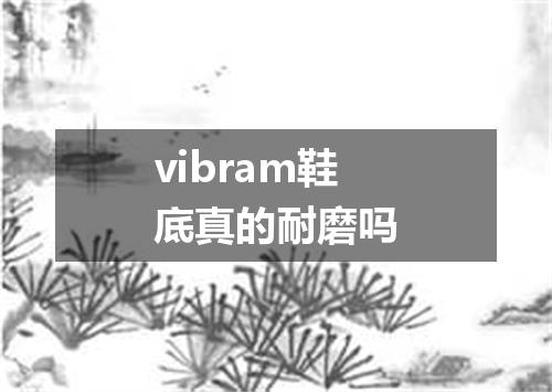 vibram鞋底真的耐磨吗