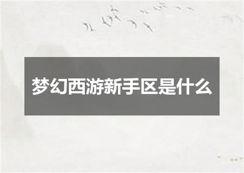 梦幻西游新手区是什么