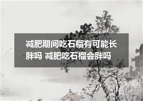 减肥期间吃石榴有可能长胖吗 减肥吃石榴会胖吗