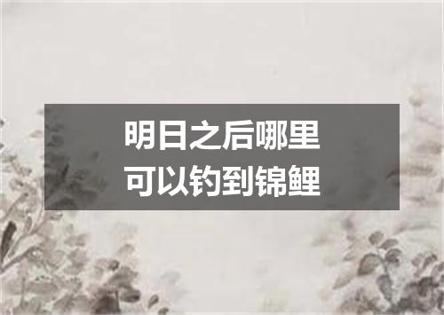 明日之后哪里可以钓到锦鲤