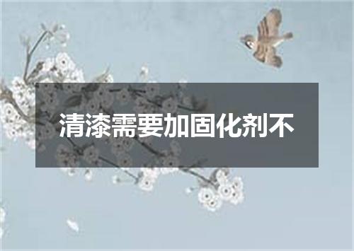 清漆需要加固化剂不