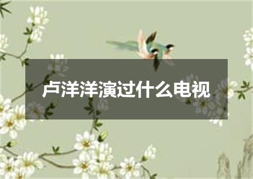 卢洋洋演过什么电视