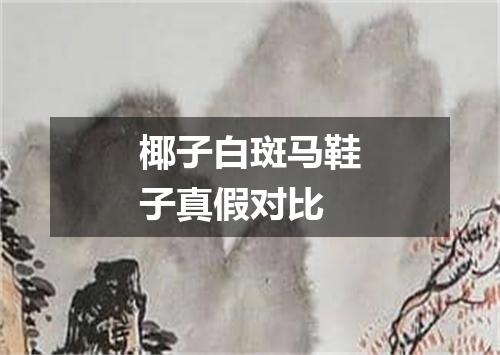 椰子白斑马鞋子真假对比